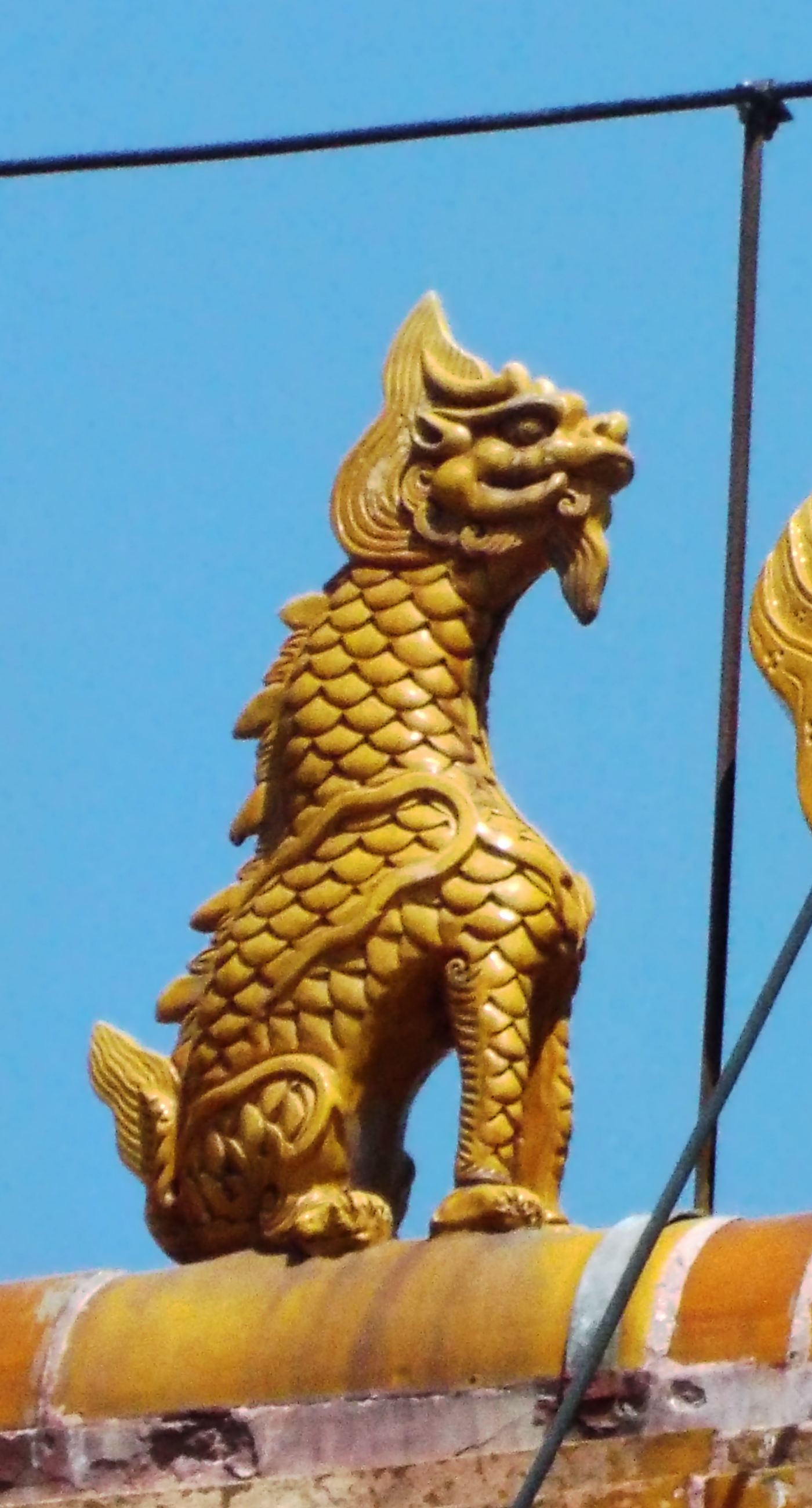 第一只龙：原图像素观察